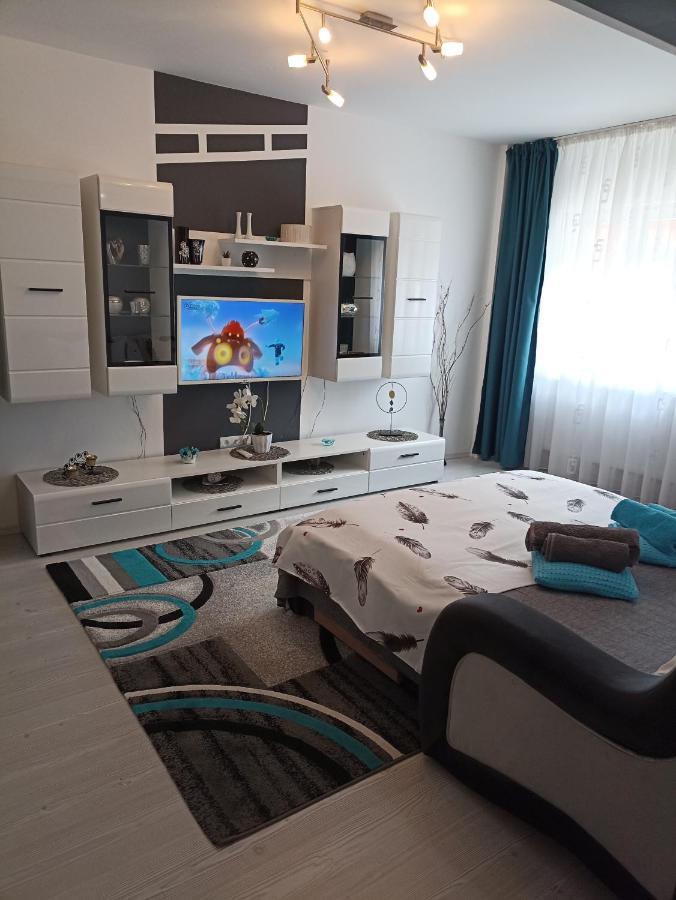 Apartament Sofy2 Baile Herculane Exterior photo